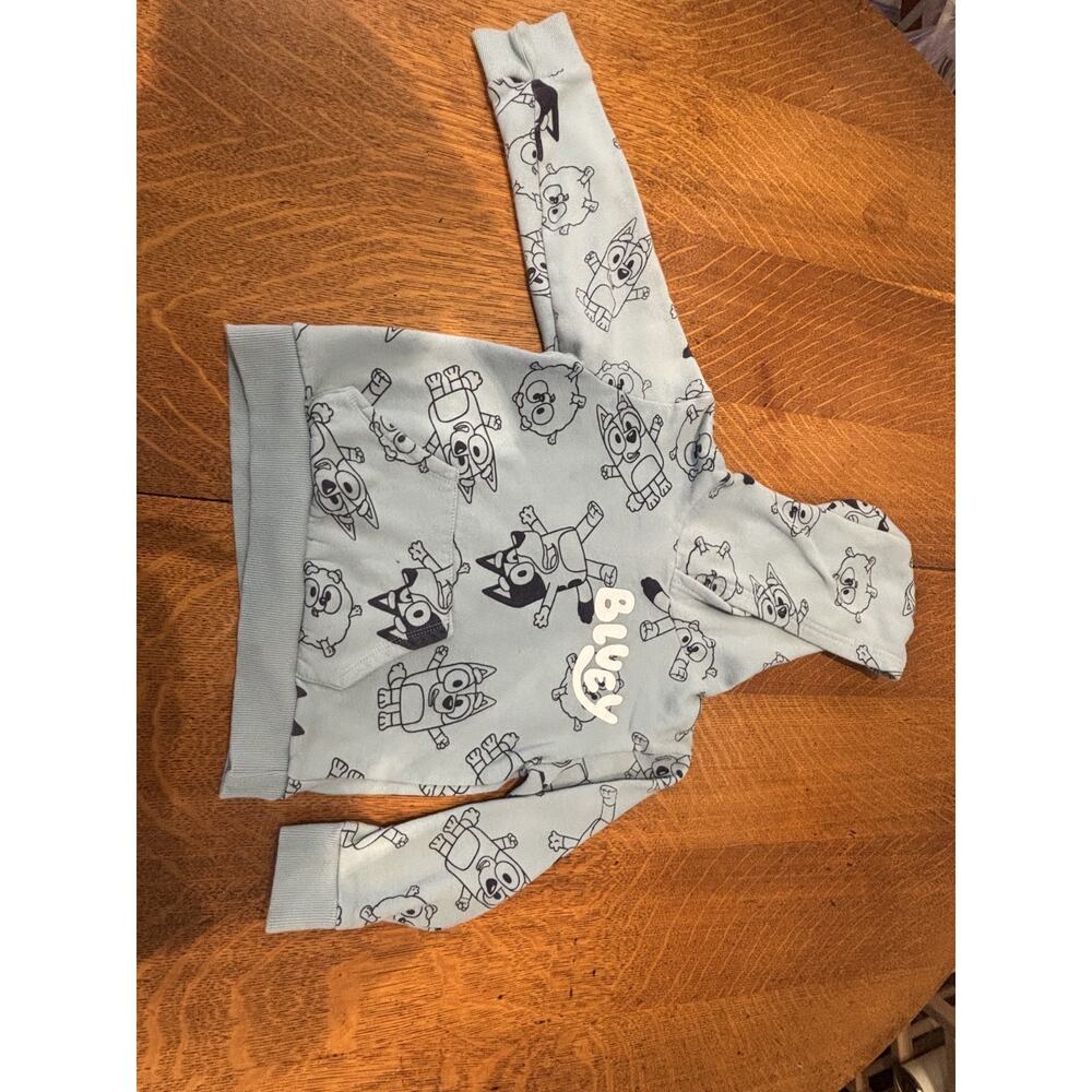 Bluey Long Sleeve Graphic Hoodie Light-Blue Kids Small Cartoon Dog